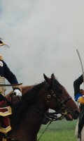 Бородино 2013 года Бородино 2013 года